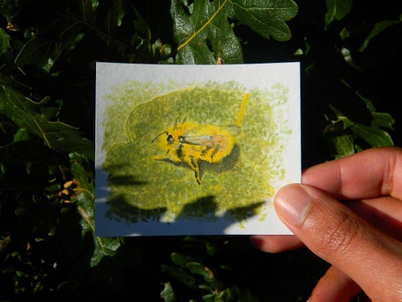 A small watercolour painting of a bee resting on an oak leaf held above real oak leaves